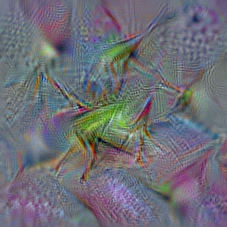 n02226429